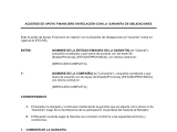 Acuerdo de respaldo financiero respecto de la garantía de obligación